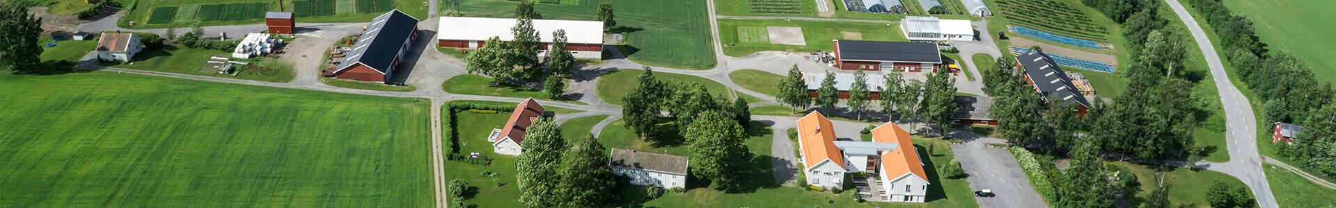 The picture of facilities shows the farm from above